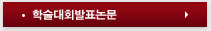 학술대회 발표논문